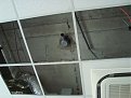 Натиснете снимката за да я уголемите

Име:DSC02948.JPG
Прегледи:397
Размер:88.7 КБ
ID:5880074
