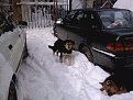 Натиснете снимката за да я уголемите

Име:Photo0110.jpg
Прегледи:632
Размер:146.6 КБ
ID:5880473