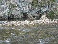 Натиснете снимката за да я уголемите

Име:IMG_5212 (855 x 642).jpg
Прегледи:162
Размер:120.4 КБ
ID:5899619