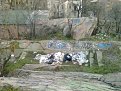 Натиснете снимката за да я уголемите

Име:Снимка0047.jpg
Прегледи:228
Размер:201.3 КБ
ID:5918058