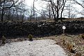 Натиснете снимката за да я уголемите

Име:036.JPG
Прегледи:229
Размер:404.3 КБ
ID:5921084