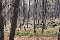 Натиснете снимката за да я уголемите

Име:DSC00490.jpg
Прегледи:114
Размер:265.4 КБ
ID:5946793