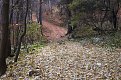 Натиснете снимката за да я уголемите

Име:DSC00491.jpg
Прегледи:111
Размер:269.9 КБ
ID:5946794