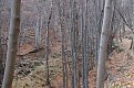 Натиснете снимката за да я уголемите

Име:DSC00513.jpg
Прегледи:102
Размер:258.7 КБ
ID:5946810