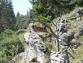 Натиснете снимката за да я уголемите

Име:P8043530.jpg
Прегледи:1380
Размер:340.5 КБ
ID:5980099