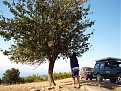 Натиснете снимката за да я уголемите

Име:P9045554.JPG
Прегледи:1508
Размер:302.3 КБ
ID:5984390