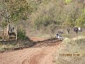 Натиснете снимката за да я уголемите

Име:Бобошево 2012г. 024.jpg
Прегледи:240
Размер:234.5 КБ
ID:5990897
