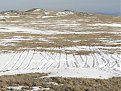 Натиснете снимката за да я уголемите

Име:DSC06831.jpg
Прегледи:473
Размер:205.5 КБ
ID:5996409
