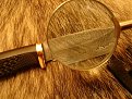 Натиснете снимката за да я уголемите

Име:DSC08013.jpg
Прегледи:494
Размер:205.1 КБ
ID:6004248