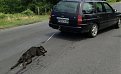 Натиснете снимката за да я уголемите

Име:54caf04476f0a81a6c59cd502e1ca58d.jpg
Прегледи:149
Размер:77.9 КБ
ID:6016546