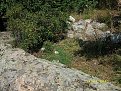 Натиснете снимката за да я уголемите

Име:IMG_6558.jpg
Прегледи:264
Размер:241.7 КБ
ID:6019490