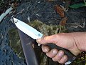 Натиснете снимката за да я уголемите

Име:DSC08656.jpg
Прегледи:722
Размер:149.7 КБ
ID:6034389
