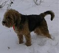 Натиснете снимката за да я уголемите

Име:20140126_111831~2-1.jpg
Прегледи:139
Размер:79.1 КБ
ID:6075293