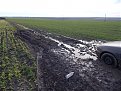 Натиснете снимката за да я уголемите

Име:DSCN0440.jpg
Прегледи:1360
Размер:222.4 КБ
ID:6076439