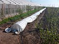 Натиснете снимката за да я уголемите

Име:IMG00149.jpg
Прегледи:1077
Размер:293.8 КБ
ID:6078222