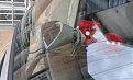 Натиснете снимката за да я уголемите

Име:20160605_192927.jpg
Прегледи:449
Размер:90.9 КБ
ID:6116300