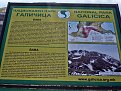 Натиснете снимката за да я уголемите

Име:P8282335.JPG
Прегледи:2206
Размер:934.4 КБ
ID:6120763
