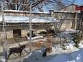 Натиснете снимката за да я уголемите

Име:IMG_20170129_134830.jpg
Прегледи:1270
Размер:194.7 КБ
ID:6127521
