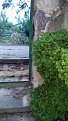 Натиснете снимката за да я уголемите

Име:IMG_20170506_202356.jpg
Прегледи:33391
Размер:504.8 КБ
ID:6132225