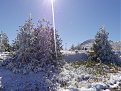 Натиснете снимката за да я уголемите

Име:293_P1000444.jpg
Прегледи:71
Размер:166.6 КБ
ID:6519561