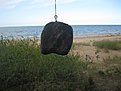 Натиснете снимката за да я уголемите

Име:IMG_6950.JPG
Прегледи:147
Размер:342.6 КБ
ID:6519669