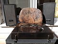 Натиснете снимката за да я уголемите

Име:IMG_20191027_134015.jpg
Прегледи:1895
Размер:513.1 КБ
ID:6522412