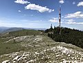 Натиснете снимката за да я уголемите

Име:91271526-BD2B-46B4-8ABE-B3340F024C71.jpeg
Прегледи:677
Размер:983.3 КБ
ID:6602405