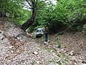Натиснете снимката за да я уголемите

Име:IMG-1e97a7705c4144cd341c7a41fc6bf86f-V.jpg
Прегледи:214
Размер:455.0 КБ
ID:6605331