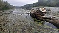 Натиснете снимката за да я уголемите

Име:20190923_122245.jpg
Прегледи:258
Размер:503.5 КБ
ID:6610109
