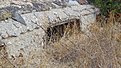 Натиснете снимката за да я уголемите

Име:DSC03485.jpg
Прегледи:617
Размер:826.8 КБ
ID:6653728