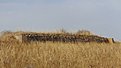 Натиснете снимката за да я уголемите

Име:DSC03541.jpg
Прегледи:621
Размер:453.5 КБ
ID:6653739