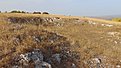 Натиснете снимката за да я уголемите

Име:DSC03551.jpg
Прегледи:605
Размер:653.9 КБ
ID:6653744
