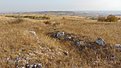 Натиснете снимката за да я уголемите

Име:DSC03560.jpg
Прегледи:611
Размер:661.0 КБ
ID:6653746