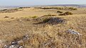 Натиснете снимката за да я уголемите

Име:DSC03552.jpg
Прегледи:629
Размер:701.9 КБ
ID:6653747