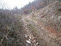 Натиснете снимката за да я уголемите

Име:20191225_140934.jpg
Прегледи:712
Размер:1,003.2 КБ
ID:6653881