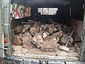 Натиснете снимката за да я уголемите

Име:20191225_140959.jpg
Прегледи:746
Размер:530.3 КБ
ID:6653883