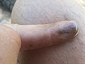 Натиснете снимката за да я уголемите

Име:20200823_111040.jpg
Прегледи:606
Размер:334.7 КБ
ID:6654305