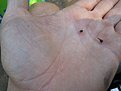 Натиснете снимката за да я уголемите

Име:20200823_121233.jpg
Прегледи:603
Размер:311.9 КБ
ID:6654312