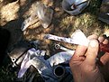 Натиснете снимката за да я уголемите

Име:20200823_123137.jpg
Прегледи:610
Размер:530.5 КБ
ID:6654315