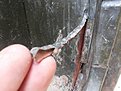 Натиснете снимката за да я уголемите

Име:20200908_160438.jpg
Прегледи:573
Размер:401.1 КБ
ID:6654386