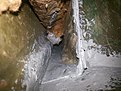 Натиснете снимката за да я уголемите

Име:20200911_092915.jpg
Прегледи:571
Размер:512.5 КБ
ID:6654396