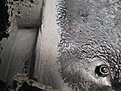 Натиснете снимката за да я уголемите

Име:20200911_164614.jpg
Прегледи:562
Размер:583.0 КБ
ID:6654408
