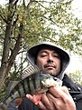 Натиснете снимката за да я уголемите

Име:IMG_1133[1].JPG
Прегледи:130
Размер:637.4 КБ
ID:6661350