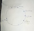 Натиснете снимката за да я уголемите

Име:IMG_20201125_090220_1.jpg
Прегледи:293
Размер:283.8 КБ
ID:6675964