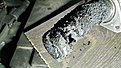 Натиснете снимката за да я уголемите

Име:IMG_20201224_140014.jpg
Прегледи:624
Размер:1.34 МБ
ID:6690033