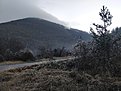 Натиснете снимката за да я уголемите

Име:IMG_20210103_165636.jpg
Прегледи:406
Размер:621.1 КБ
ID:6698239