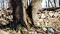 Натиснете снимката за да я уголемите

Име:IMG_20210227_131134.jpg
Прегледи:328
Размер:567.8 КБ
ID:6714607