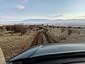 Натиснете снимката за да я уголемите

Име:IMG_20210314_171857.jpg
Прегледи:580
Размер:439.1 КБ
ID:6720343