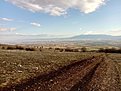 Натиснете снимката за да я уголемите

Име:IMG_20210314_171423.jpg
Прегледи:582
Размер:661.5 КБ
ID:6720349