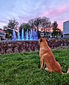 Натиснете снимката за да я уголемите

Име:20210502_204259-01.jpeg
Прегледи:511
Размер:825.2 КБ
ID:6738835